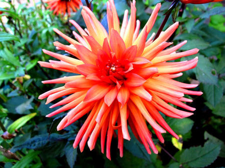 2011-9-28滝野すずらん公園 113.jpg